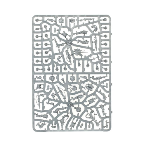 Truppe d'Assalto Cadiane