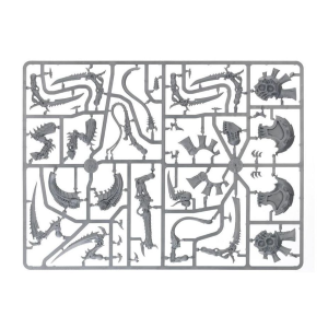 Tiranno dell'Alveare