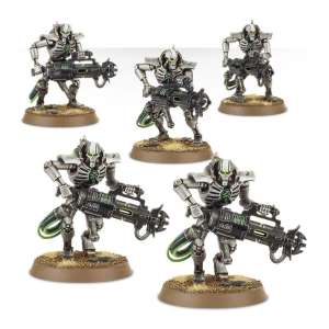 Necrons Immortali
