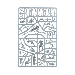 Cities of Sigmar Freeguild Fusiliers Fucilieri della Gilda Libera