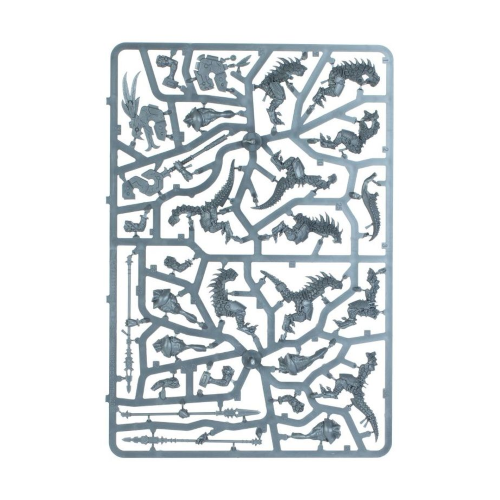 Seraphon Spearhead Punta di Lancia