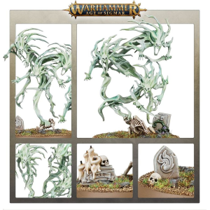Nighthaunt Spirits Hosts Schiere di Spiriti