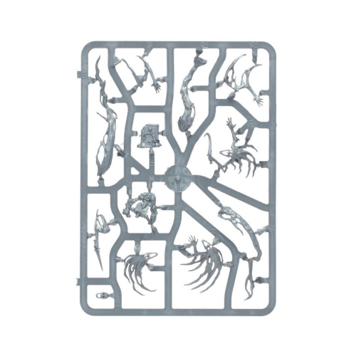 Nighthaunt Spirits Hosts Schiere di Spiriti