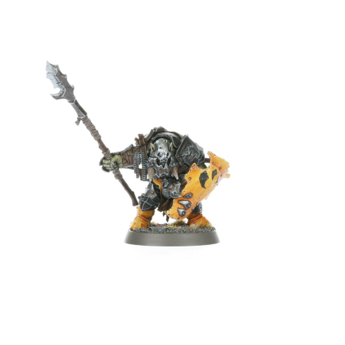 Orruk Warclans Orruk Ardboys Orruk Tozti